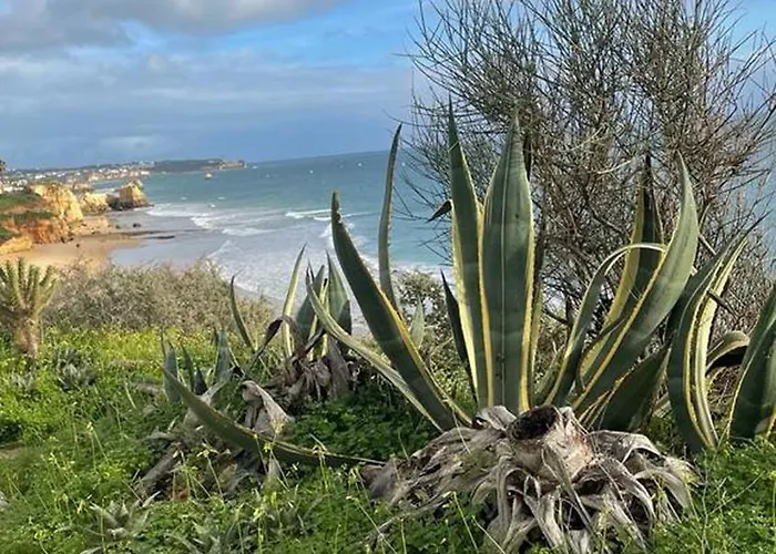 Sunnyside Suite-portimao Apartmán *